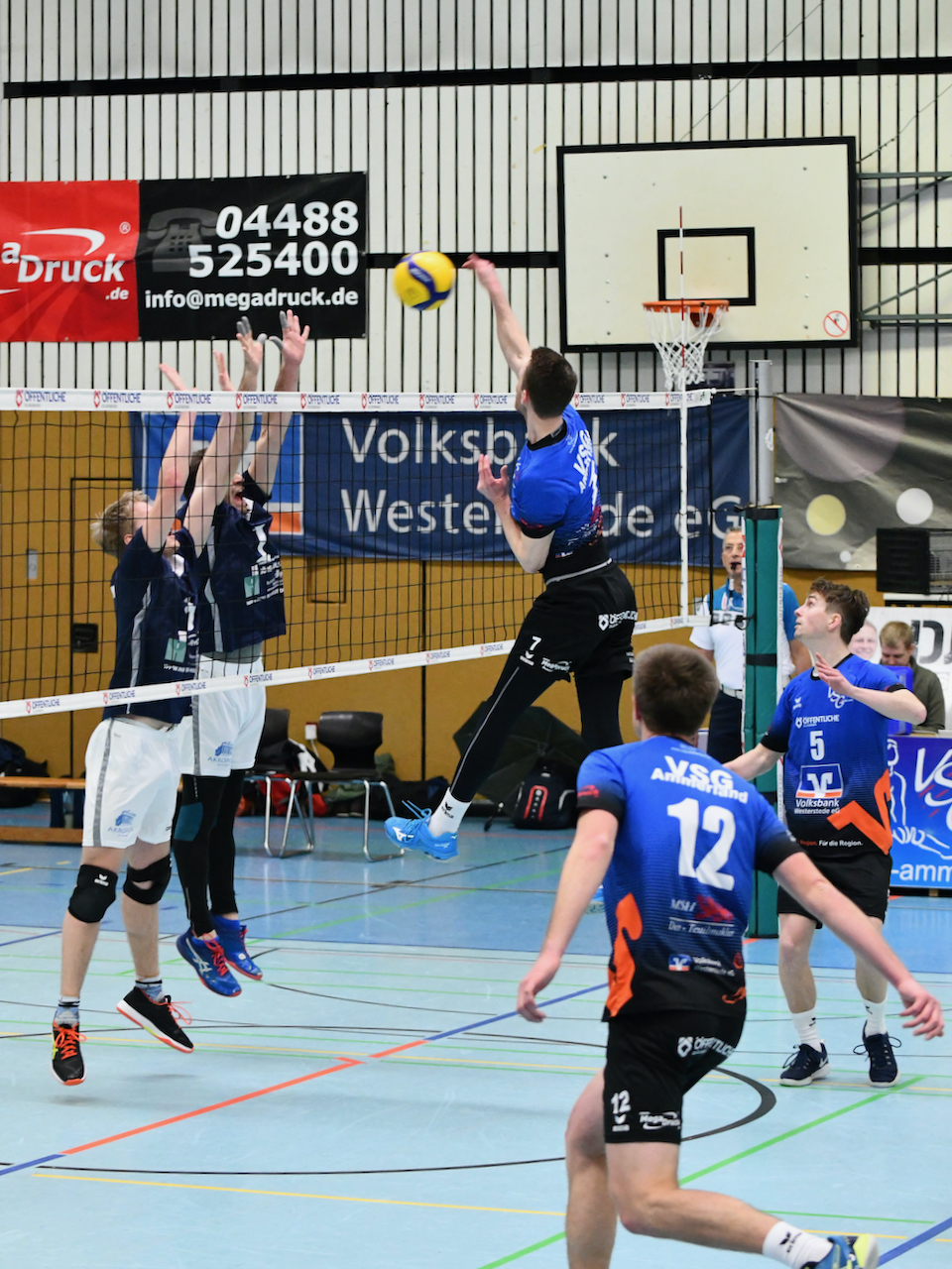 VSG-Northeim - 4