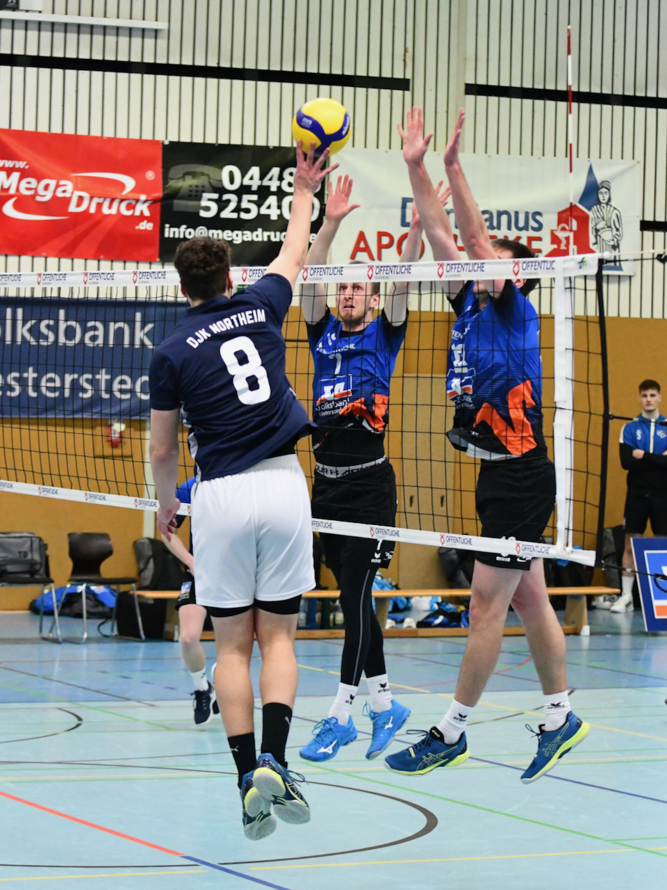 VSG-Northeim - 41