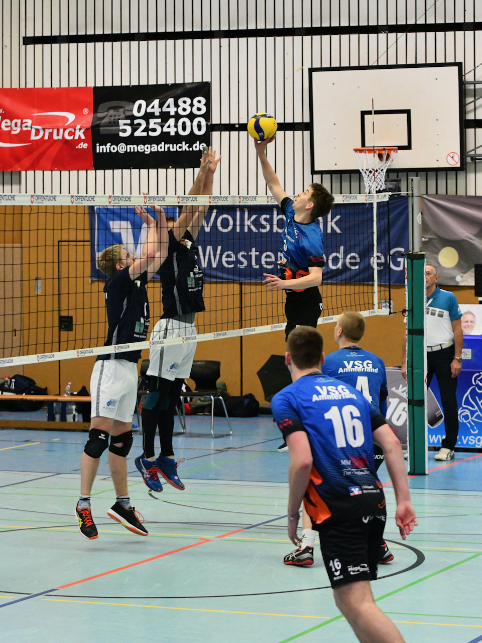 VSG-Northeim - 6